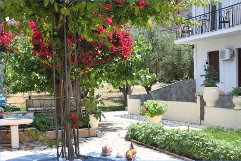 Ballas Apartments Agia Efimia Dış mekan fotoğraf